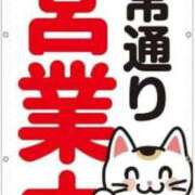 ヒメ日記 2025/02/27 06:39 投稿 チェリー 鶯谷デッドボール