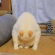 ヒメ日記 2025/03/03 14:09 投稿 チェリー 鶯谷デッドボール