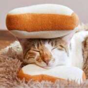 ヒメ日記 2025/03/24 08:17 投稿 チェリー 鶯谷デッドボール