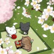 ヒメ日記 2025/03/24 09:37 投稿 チェリー 鶯谷デッドボール