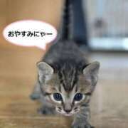 ヒメ日記 2025/04/11 09:29 投稿 チェリー 鶯谷デッドボール