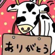 ヒメ日記 2025/04/14 17:19 投稿 チェリー 鶯谷デッドボール