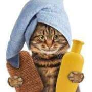 ヒメ日記 2025/04/30 09:33 投稿 チェリー 鶯谷デッドボール