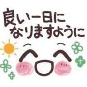 ヒメ日記 2025/05/15 09:13 投稿 チェリー 鶯谷デッドボール