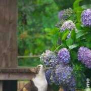 ヒメ日記 2025/05/17 10:39 投稿 チェリー 鶯谷デッドボール