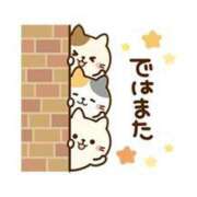 ヒメ日記 2025/05/19 16:39 投稿 チェリー 鶯谷デッドボール