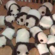 ヒメ日記 2025/05/29 03:49 投稿 チェリー 鶯谷デッドボール