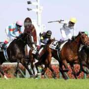 ヒメ日記 2025/06/01 10:11 投稿 チェリー 鶯谷デッドボール