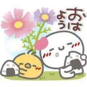 ヒメ日記 2025/06/03 04:29 投稿 チェリー 鶯谷デッドボール