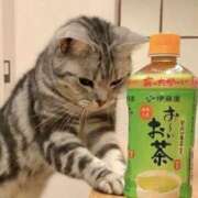 ヒメ日記 2025/06/03 13:19 投稿 チェリー 鶯谷デッドボール