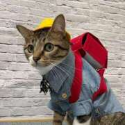 ヒメ日記 2025/06/09 05:59 投稿 チェリー 鶯谷デッドボール