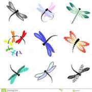 ヒメ日記 2025/06/10 05:29 投稿 チェリー 鶯谷デッドボール