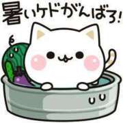 ヒメ日記 2025/06/16 10:15 投稿 チェリー 鶯谷デッドボール