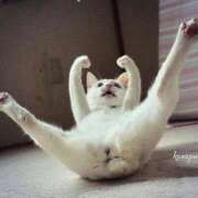 ヒメ日記 2025/06/21 08:05 投稿 チェリー 鶯谷デッドボール