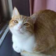 ヒメ日記 2025/06/22 09:49 投稿 チェリー 鶯谷デッドボール