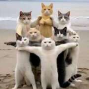 ヒメ日記 2025/06/23 16:55 投稿 チェリー 鶯谷デッドボール