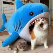 ヒメ日記 2025/06/28 17:29 投稿 チェリー 鶯谷デッドボール