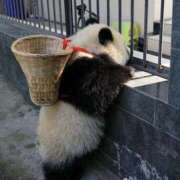 ヒメ日記 2025/07/10 15:19 投稿 チェリー 鶯谷デッドボール