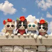 ヒメ日記 2025/07/12 14:09 投稿 チェリー 鶯谷デッドボール