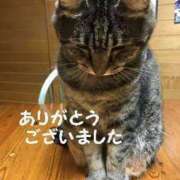 ヒメ日記 2025/07/20 16:29 投稿 チェリー 鶯谷デッドボール