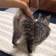 ヒメ日記 2025/07/23 04:49 投稿 チェリー 鶯谷デッドボール