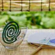 ヒメ日記 2025/07/28 10:29 投稿 チェリー 鶯谷デッドボール