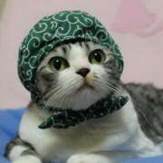 ヒメ日記 2025/08/11 14:09 投稿 チェリー 鶯谷デッドボール