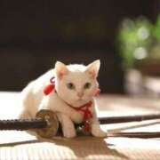 ヒメ日記 2025/08/25 11:00 投稿 チェリー 鶯谷デッドボール