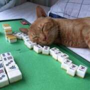 ヒメ日記 2025/08/28 16:59 投稿 チェリー 鶯谷デッドボール