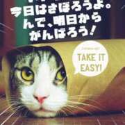 ヒメ日記 2025/09/03 09:29 投稿 チェリー 鶯谷デッドボール