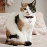 ヒメ日記 2025/09/09 20:54 投稿 チェリー 鶯谷デッドボール