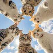 ヒメ日記 2025/09/10 06:09 投稿 チェリー 鶯谷デッドボール