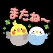 ヒメ日記 2025/09/22 12:19 投稿 チェリー 鶯谷デッドボール