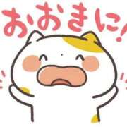 ヒメ日記 2025/10/02 17:09 投稿 チェリー 鶯谷デッドボール