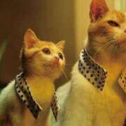 ヒメ日記 2025/10/04 15:09 投稿 チェリー 鶯谷デッドボール