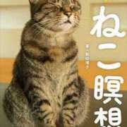 ヒメ日記 2025/10/08 07:22 投稿 チェリー 鶯谷デッドボール