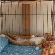 ヒメ日記 2025/10/20 05:59 投稿 チェリー 鶯谷デッドボール