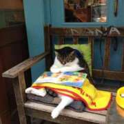 ヒメ日記 2025/10/20 20:59 投稿 チェリー 鶯谷デッドボール