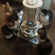 ヒメ日記 2025/10/21 04:59 投稿 チェリー 鶯谷デッドボール