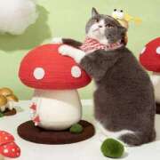 ヒメ日記 2025/10/21 16:09 投稿 チェリー 鶯谷デッドボール