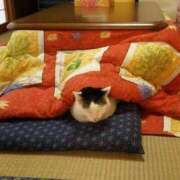 ヒメ日記 2025/10/22 06:19 投稿 チェリー 鶯谷デッドボール