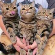 ヒメ日記 2025/10/23 05:19 投稿 チェリー 鶯谷デッドボール