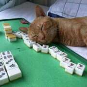 ヒメ日記 2025/10/24 13:59 投稿 チェリー 鶯谷デッドボール