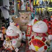 ヒメ日記 2025/10/25 11:59 投稿 チェリー 鶯谷デッドボール