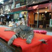 ヒメ日記 2025/10/27 05:19 投稿 チェリー 鶯谷デッドボール