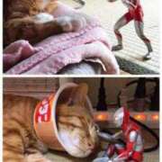 ヒメ日記 2025/10/27 10:09 投稿 チェリー 鶯谷デッドボール