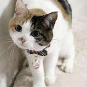 ヒメ日記 2025/11/01 06:09 投稿 チェリー 鶯谷デッドボール