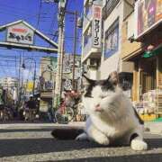 ヒメ日記 2025/11/04 16:39 投稿 チェリー 鶯谷デッドボール