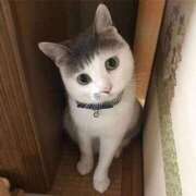 ヒメ日記 2025/11/05 17:19 投稿 チェリー 鶯谷デッドボール