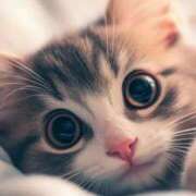 ヒメ日記 2025/11/09 13:19 投稿 チェリー 鶯谷デッドボール